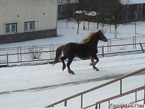 Veľká hrabovecká Veľká hrabovecká