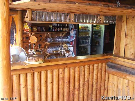  100P bar