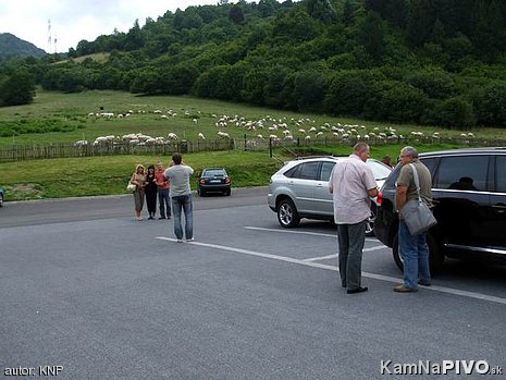 ohrada za salašom ohrada za salašom