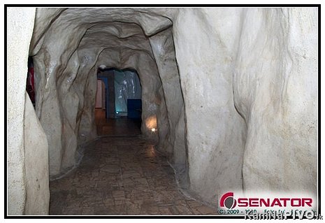 Senátor