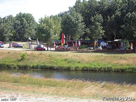 Pic6007