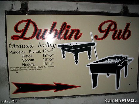 Dublib Pub Dublib Pub