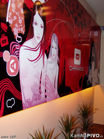Design steny Design steny