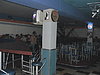 Pic8742 Pic8742