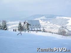 Smrečina v zime