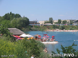 Pic6311