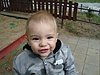Pic24260