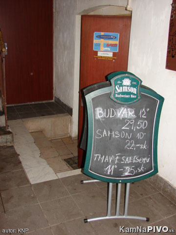 Pic20951