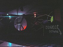 Jungle disco down---by ZIGI